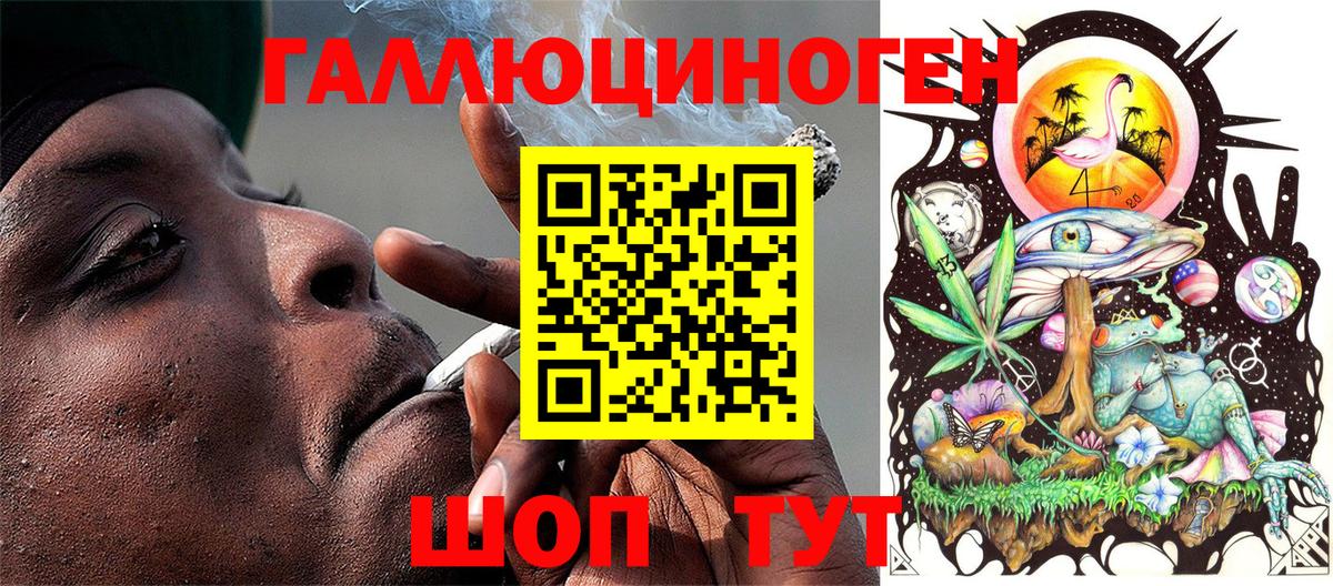 Псилоцибиновые грибы Psilocybe Куйбышев