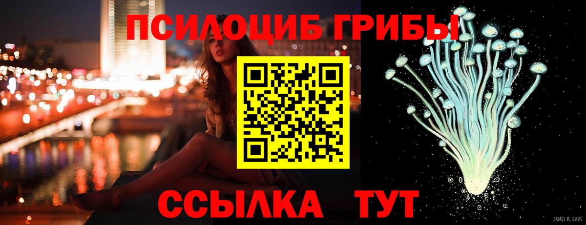 Куйбышев  Галлюциногенные грибы Psilocybe  Вход с VPN 
